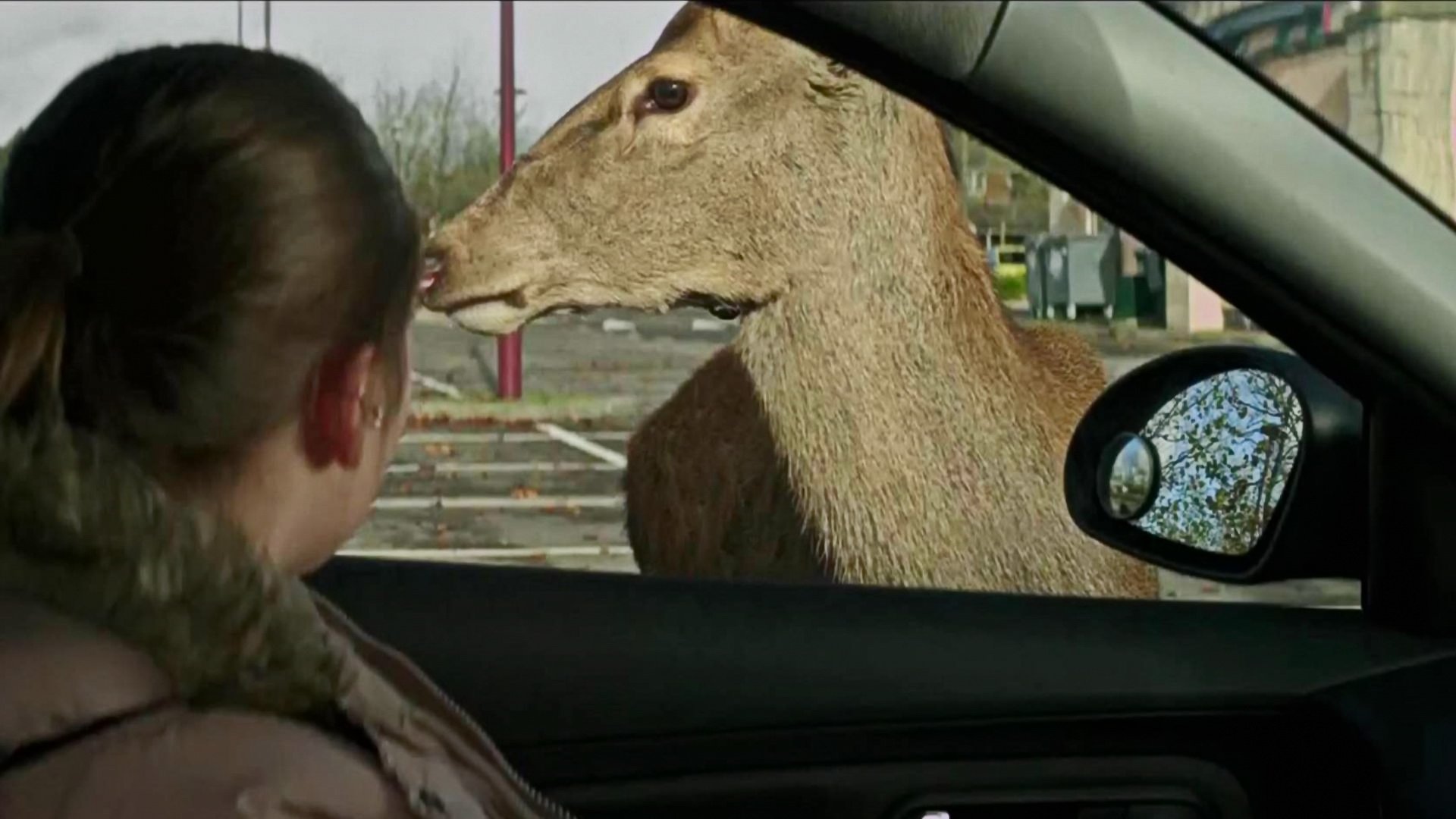 Movie scene