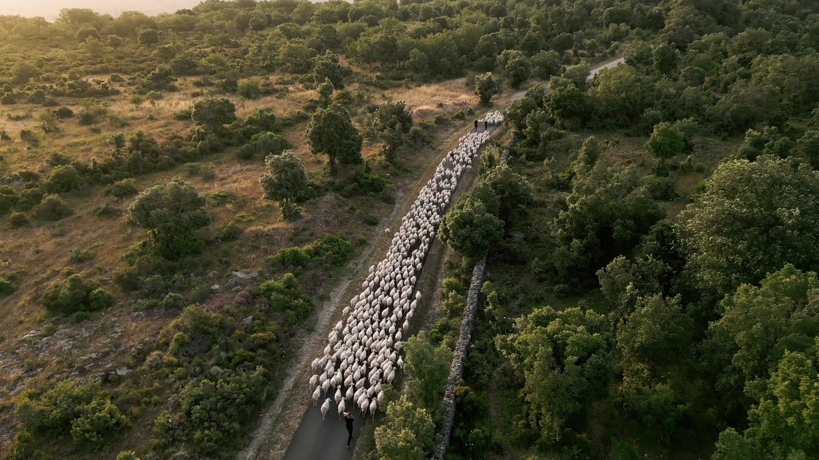 Movie scene