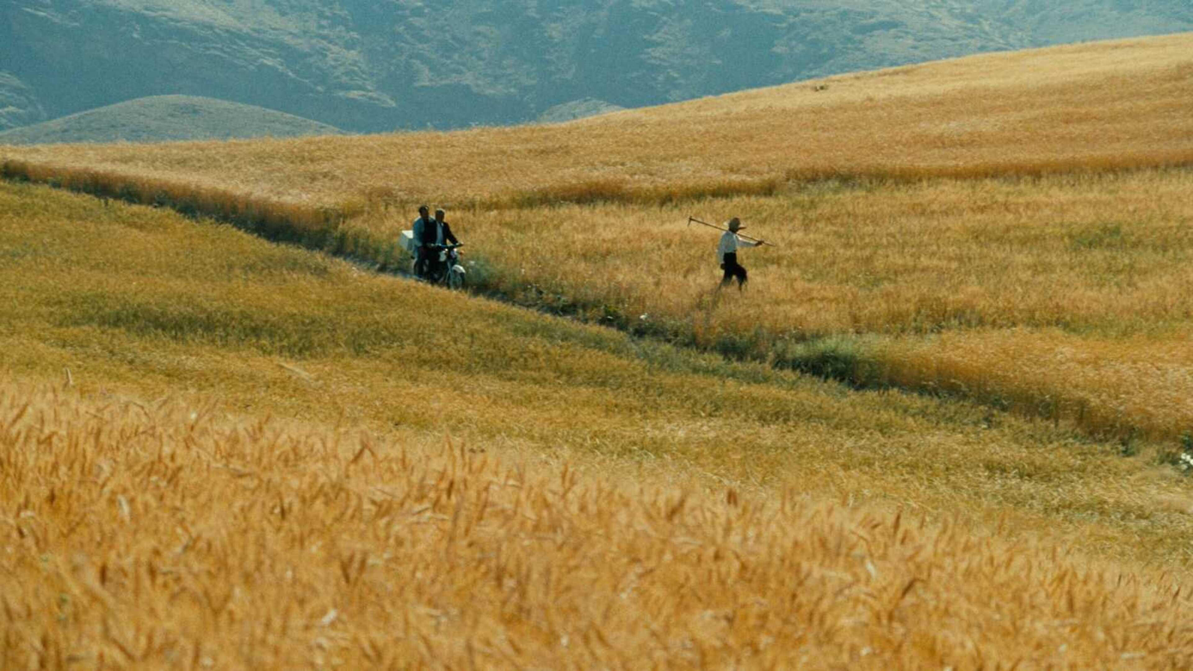 Movie scene