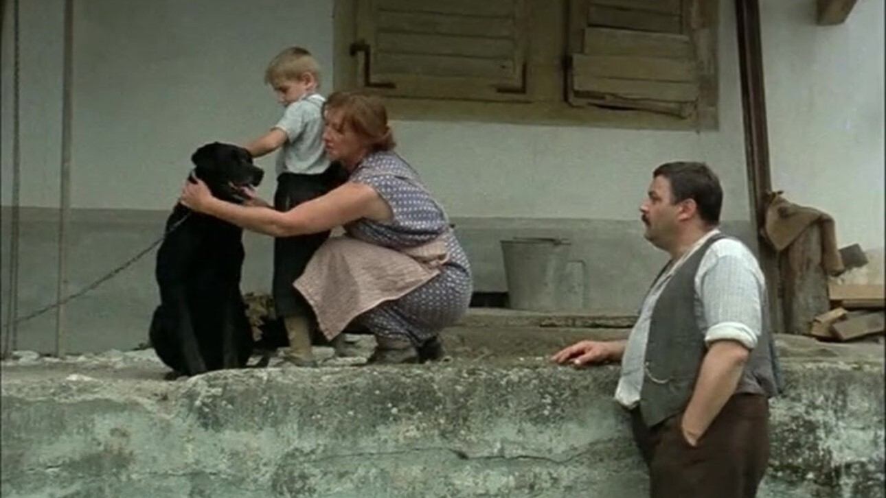 Movie scene