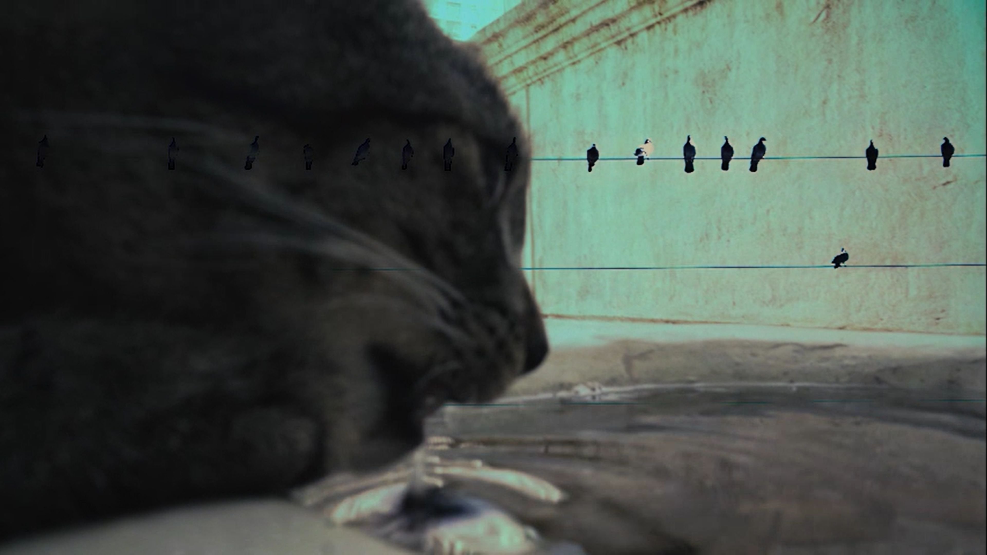 Movie scene