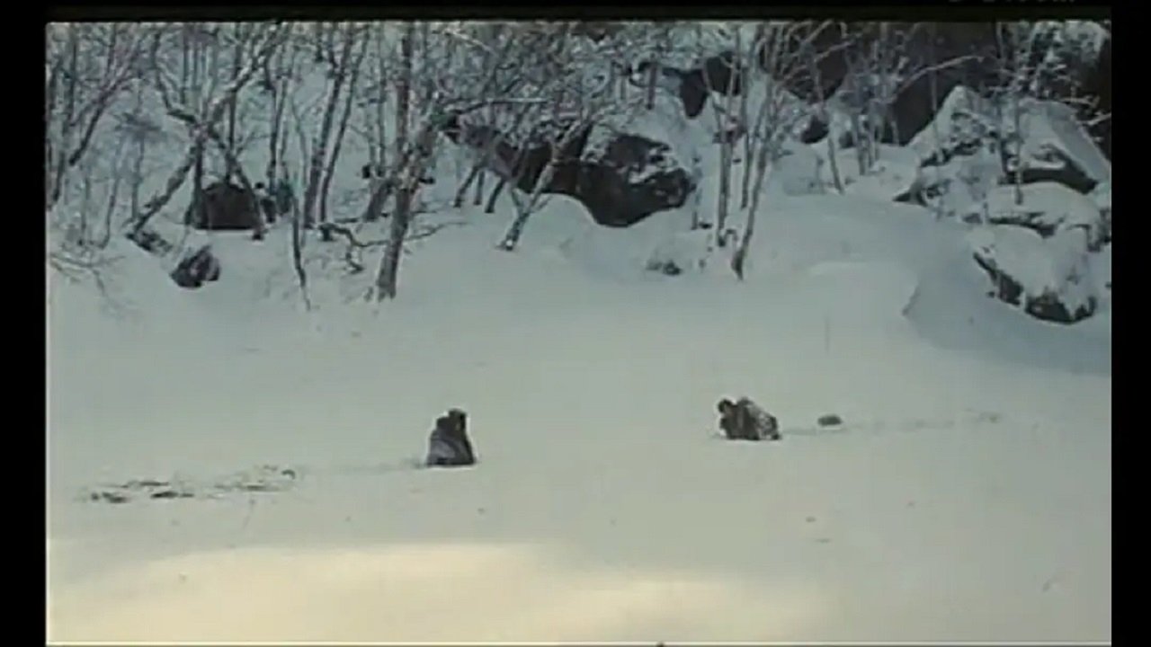 Movie scene