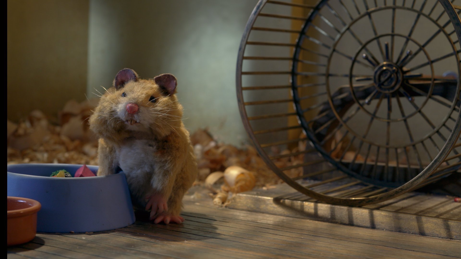 Movie scene