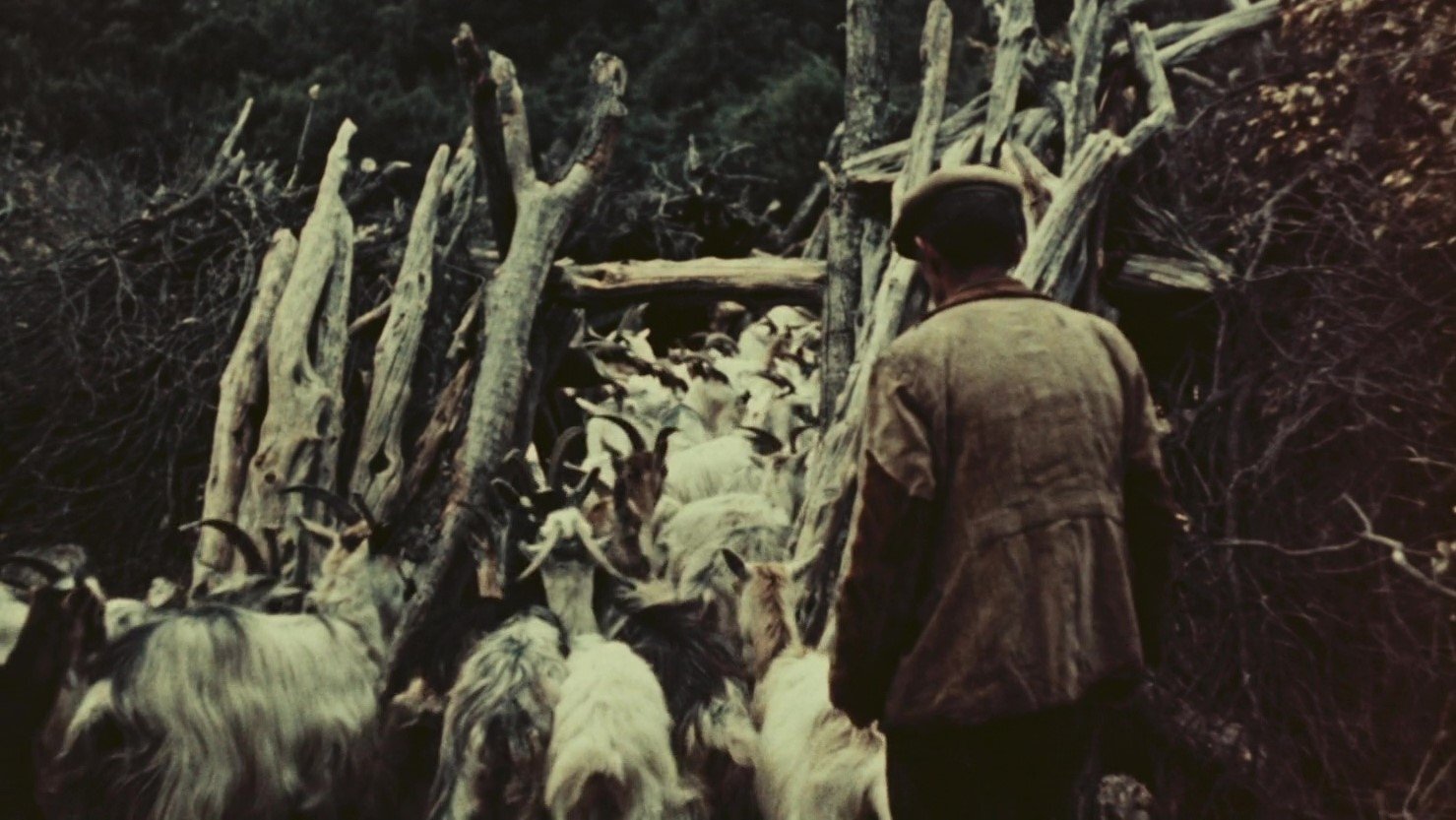 Movie scene