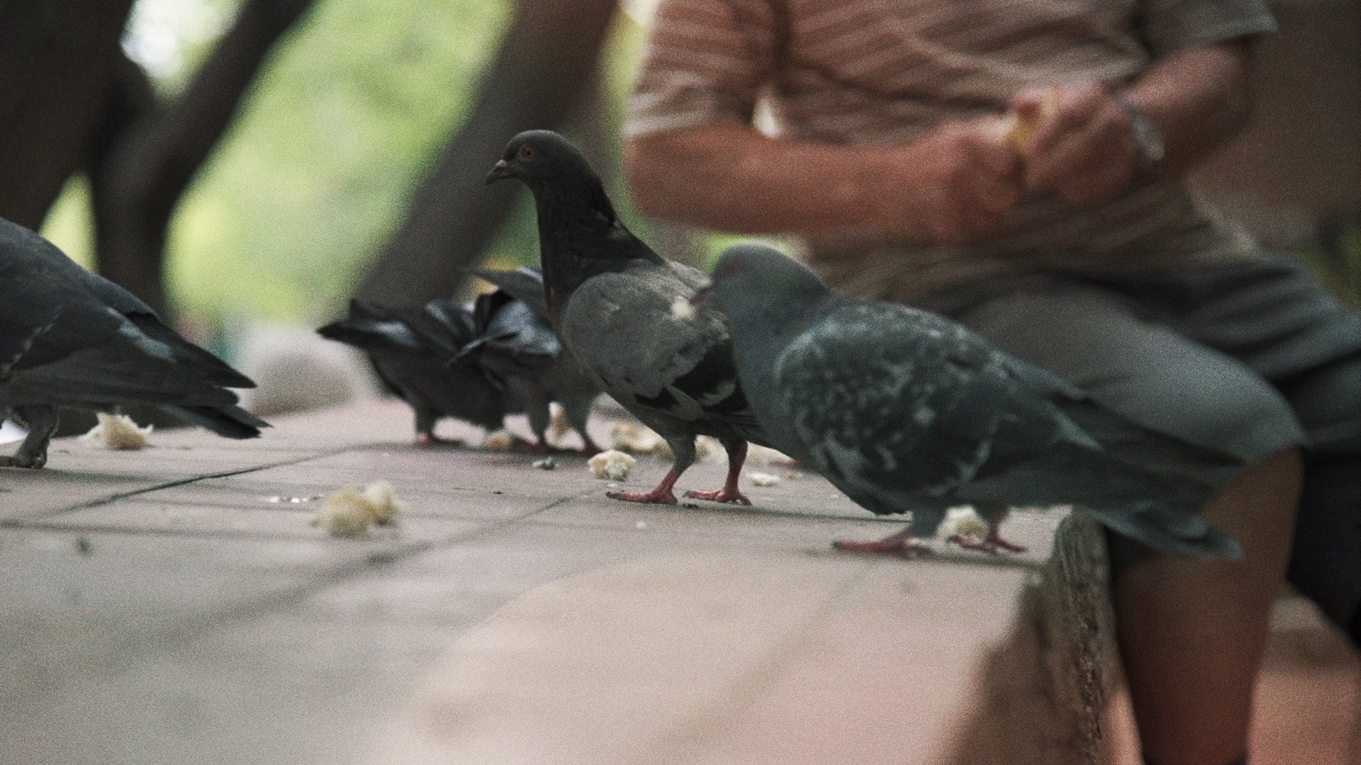 Movie scene