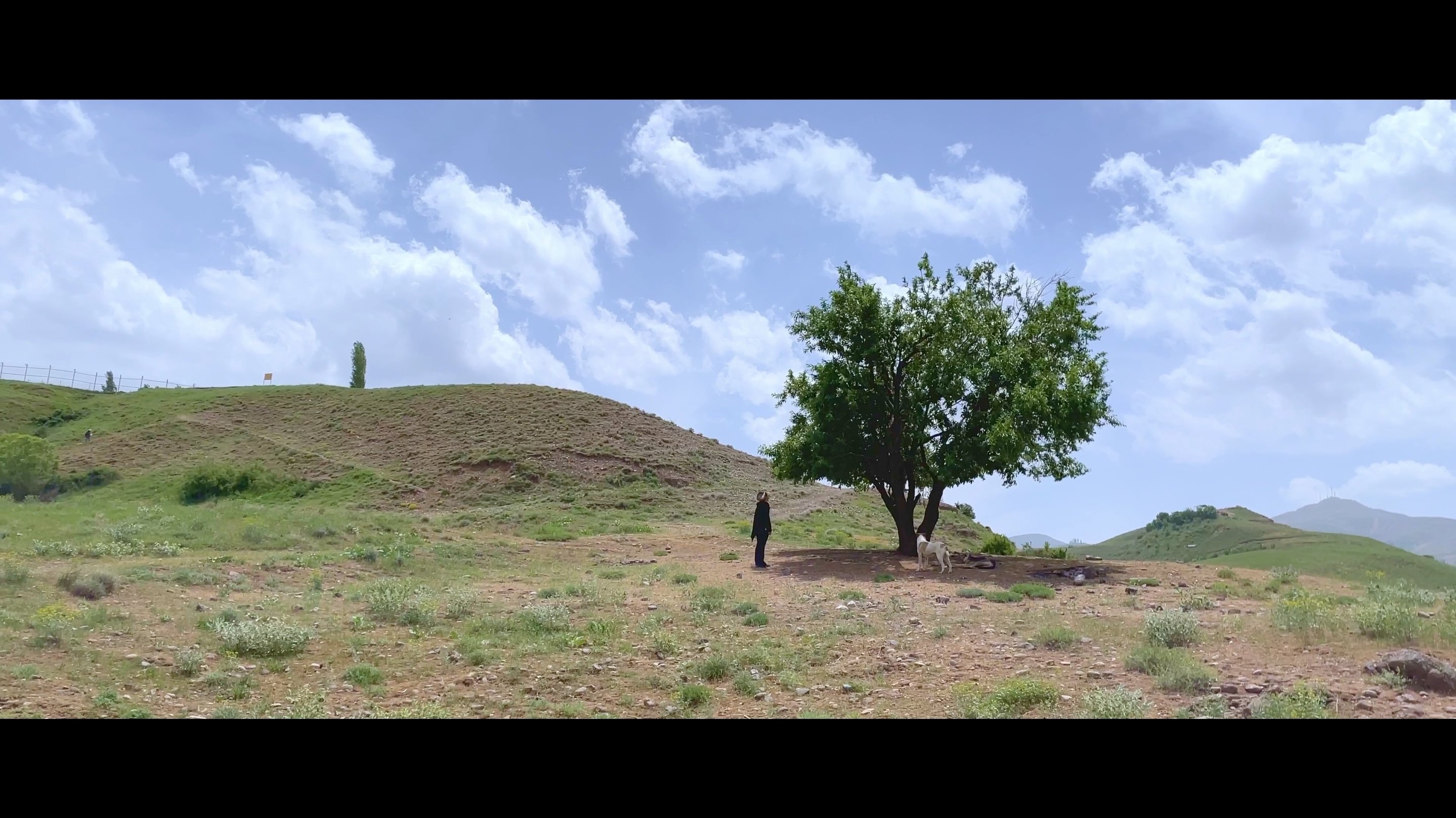 Movie scene