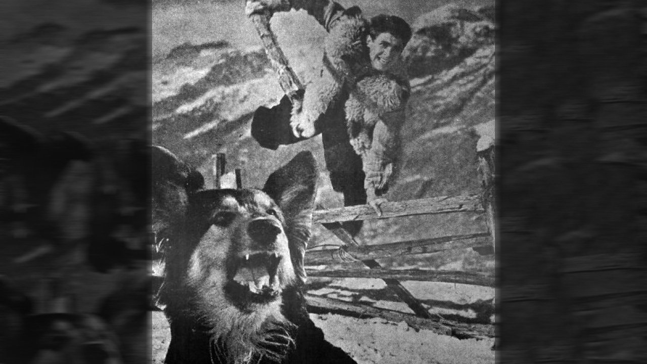 Movie scene