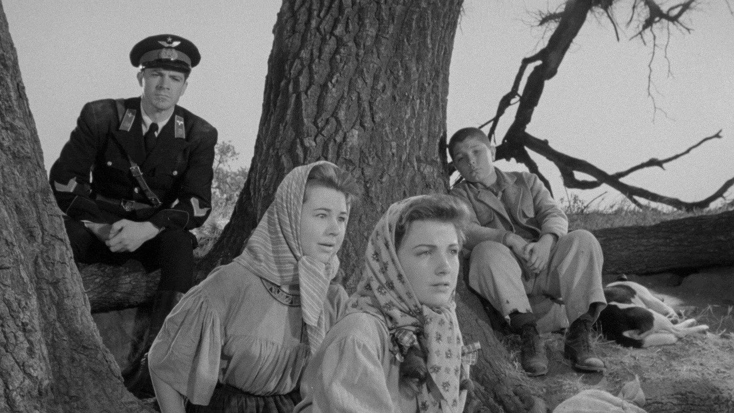 Movie scene