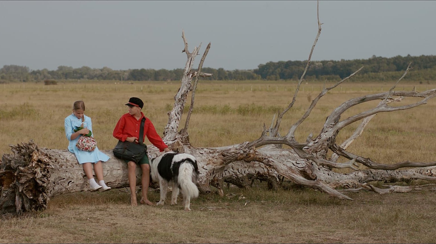 Movie scene