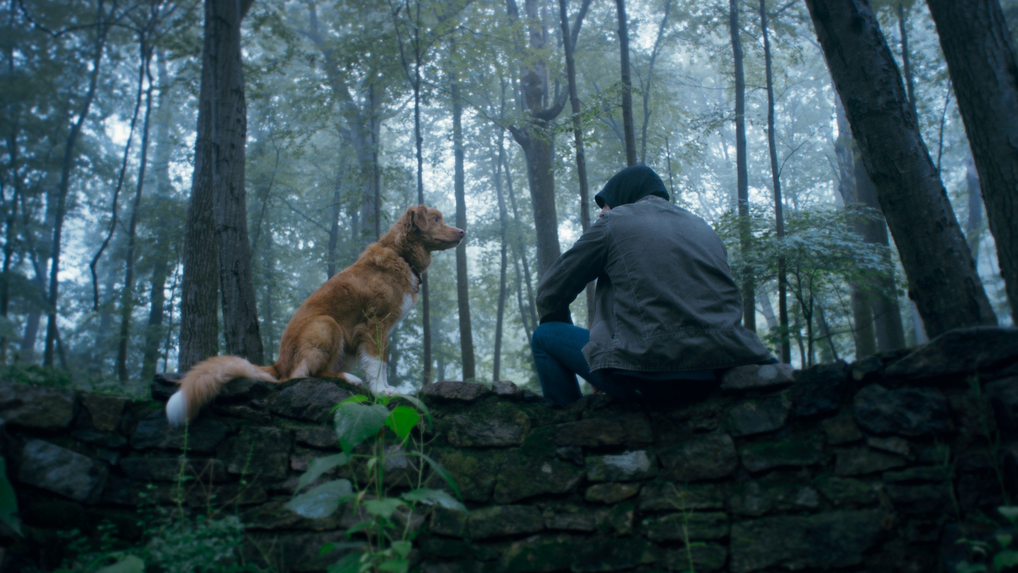 Movie scene