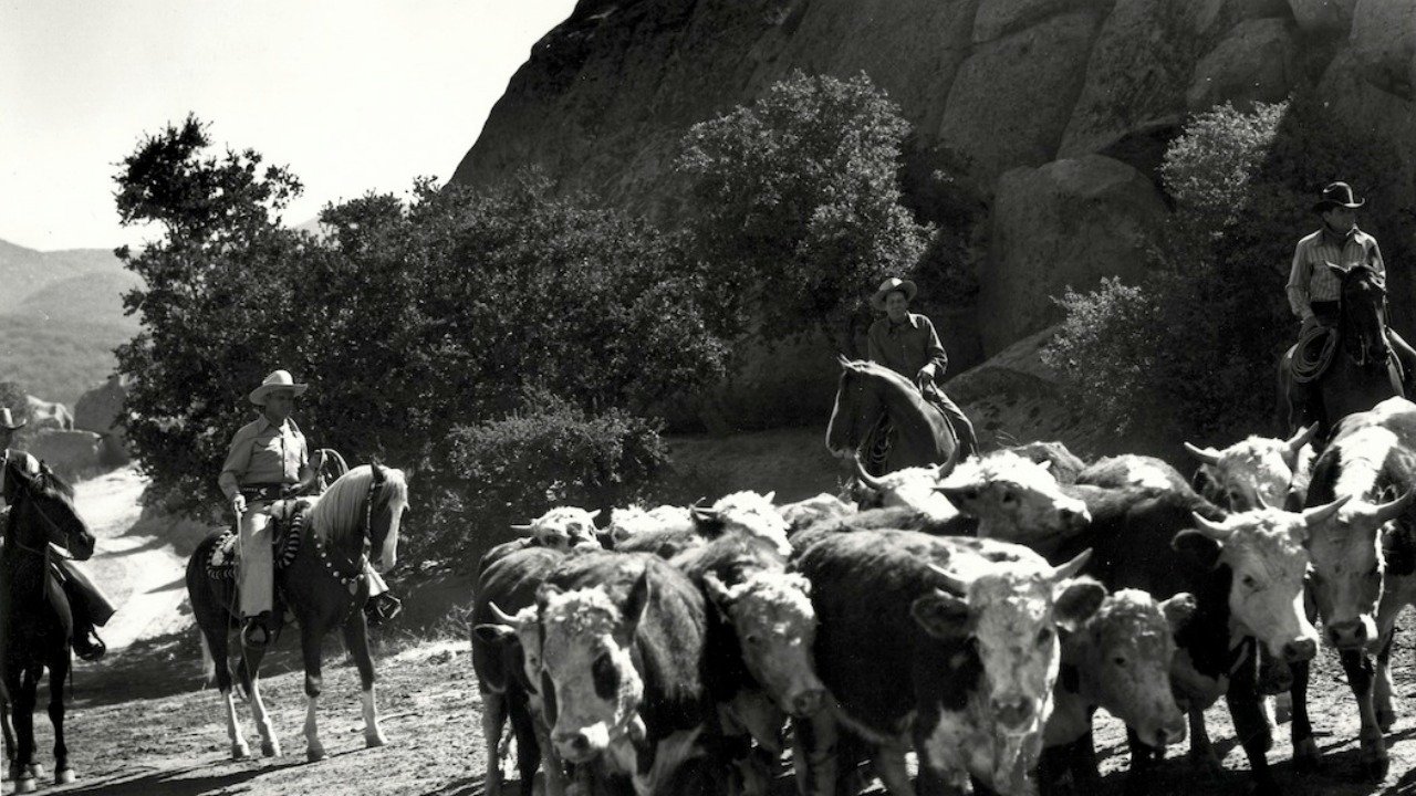 Movie scene