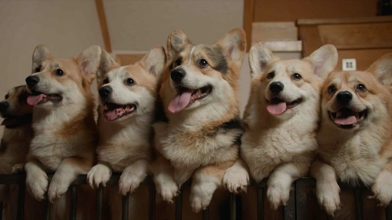 Movie scene