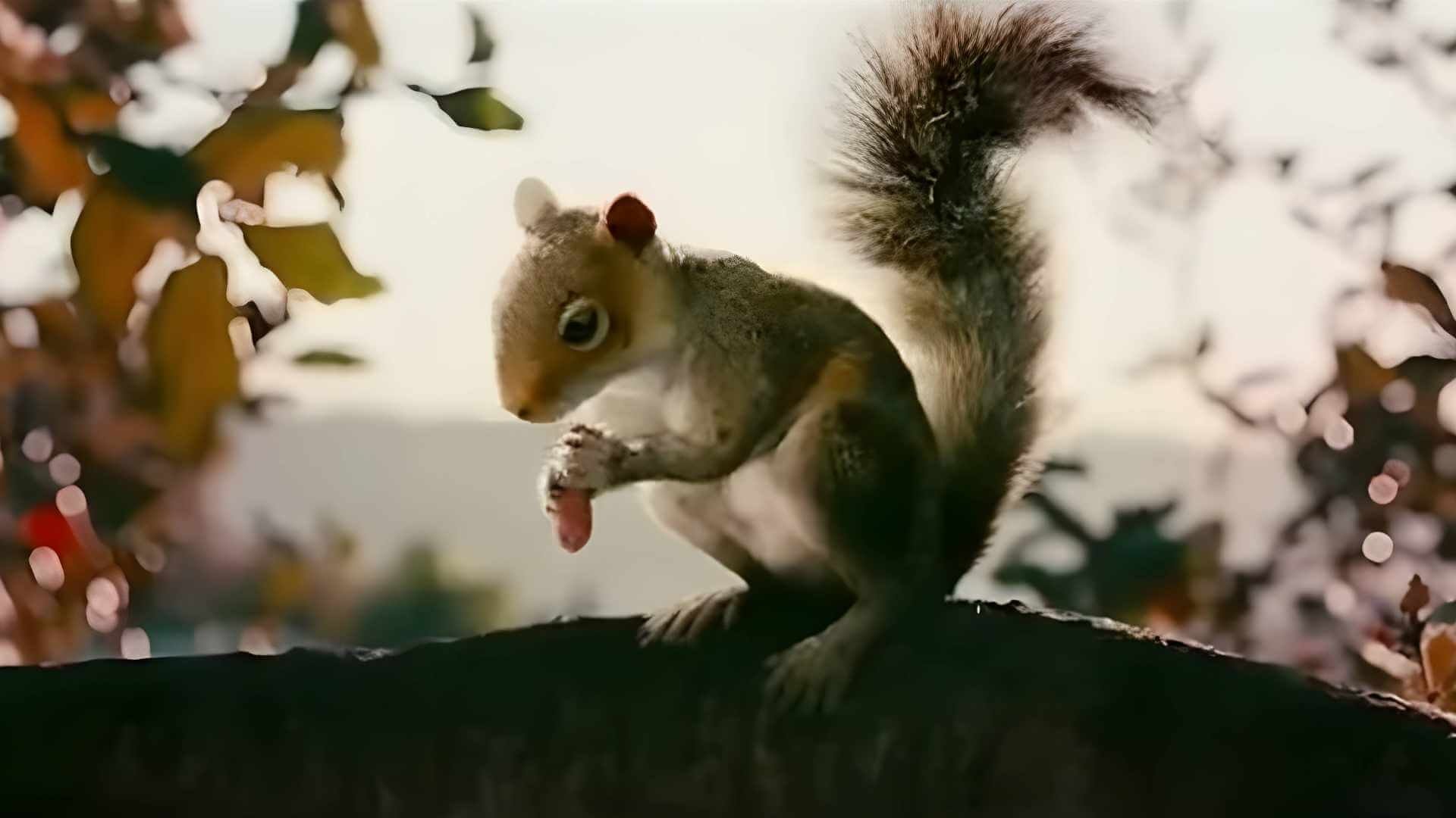 Movie scene