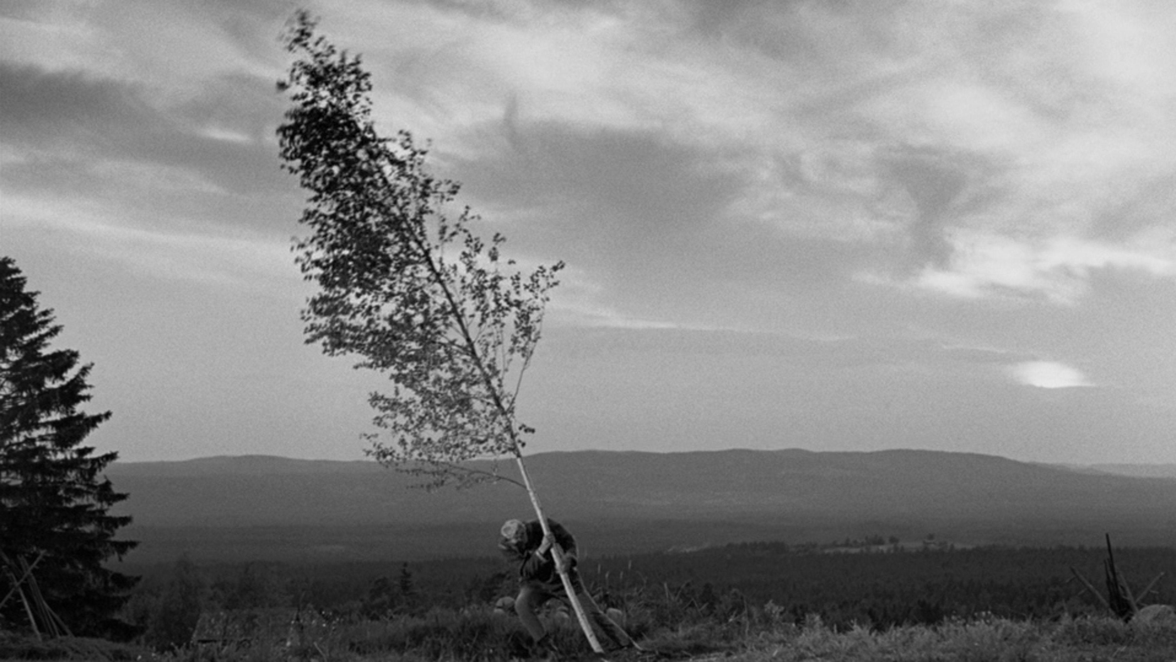 Movie scene