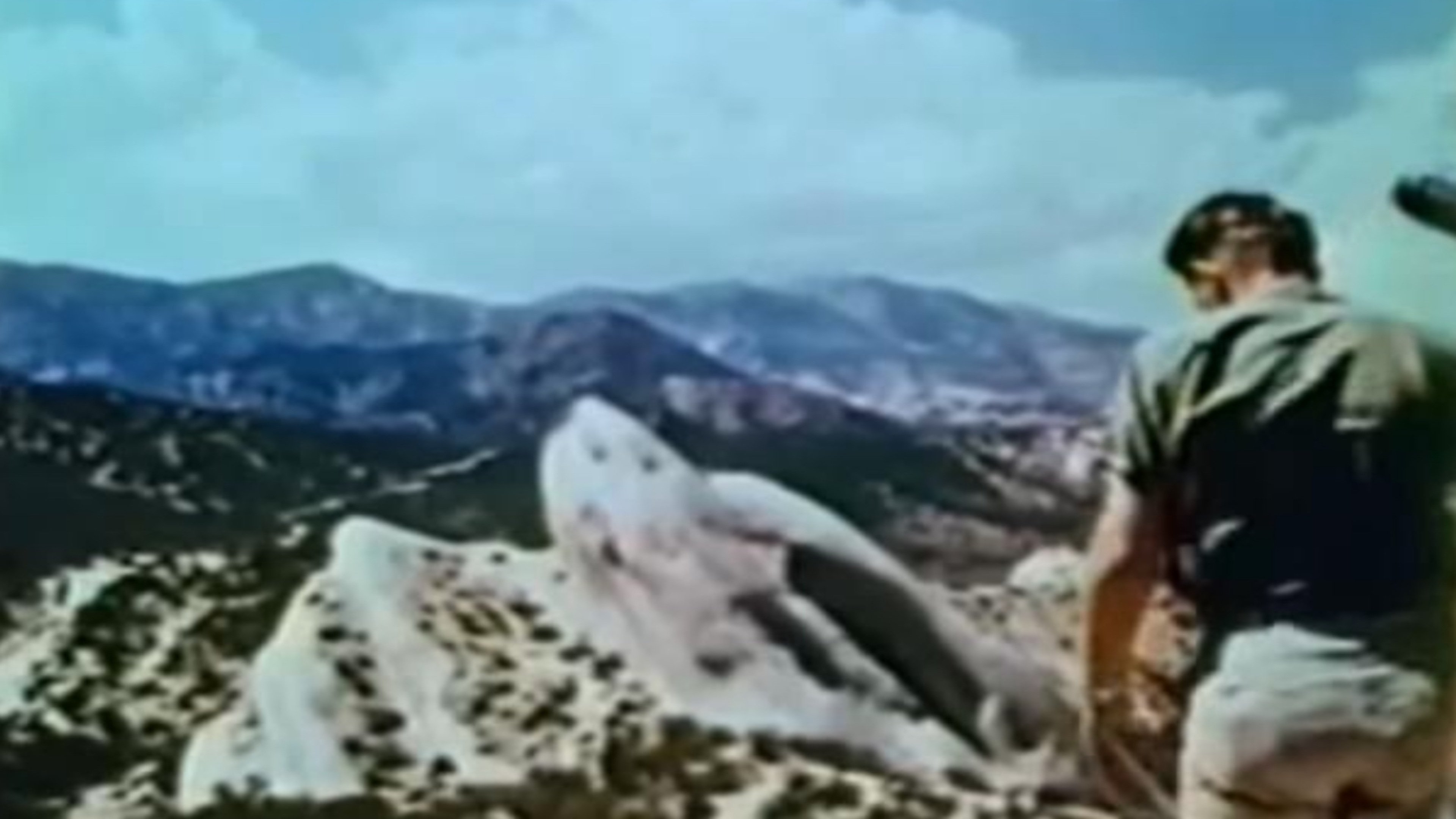 Movie scene