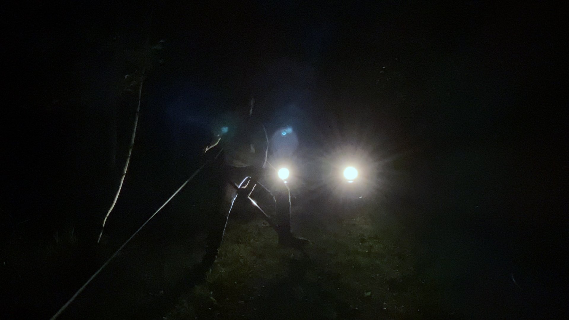 Movie scene