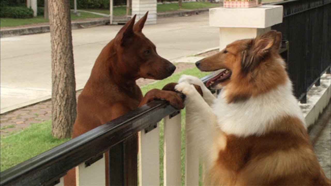 Movie scene
