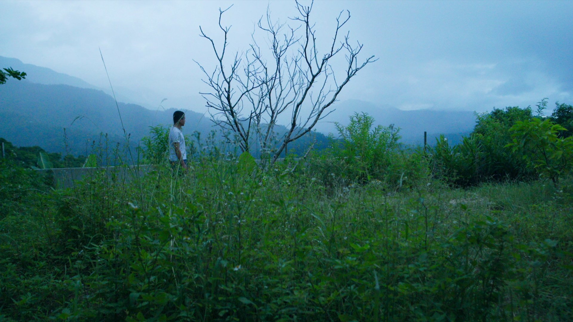 Movie scene