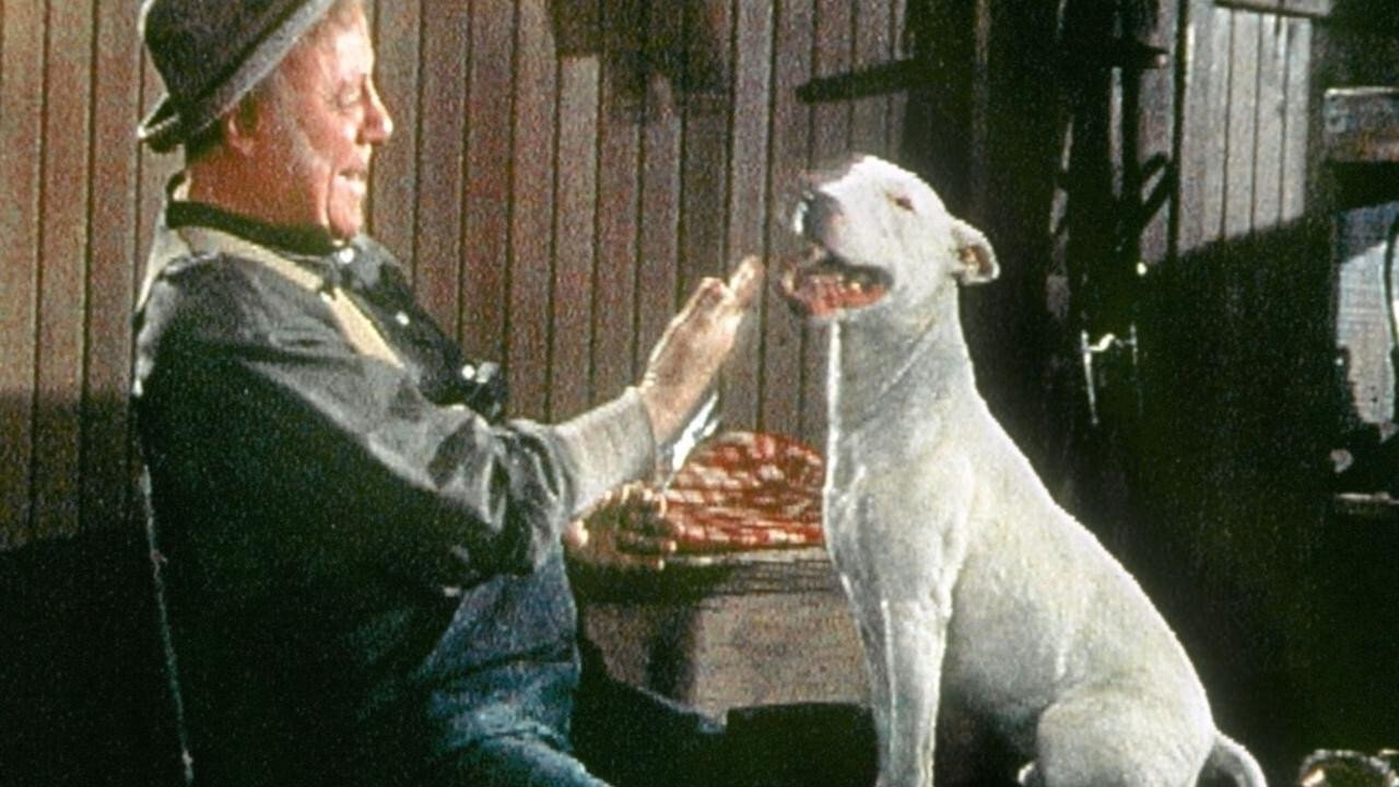 Movie scene
