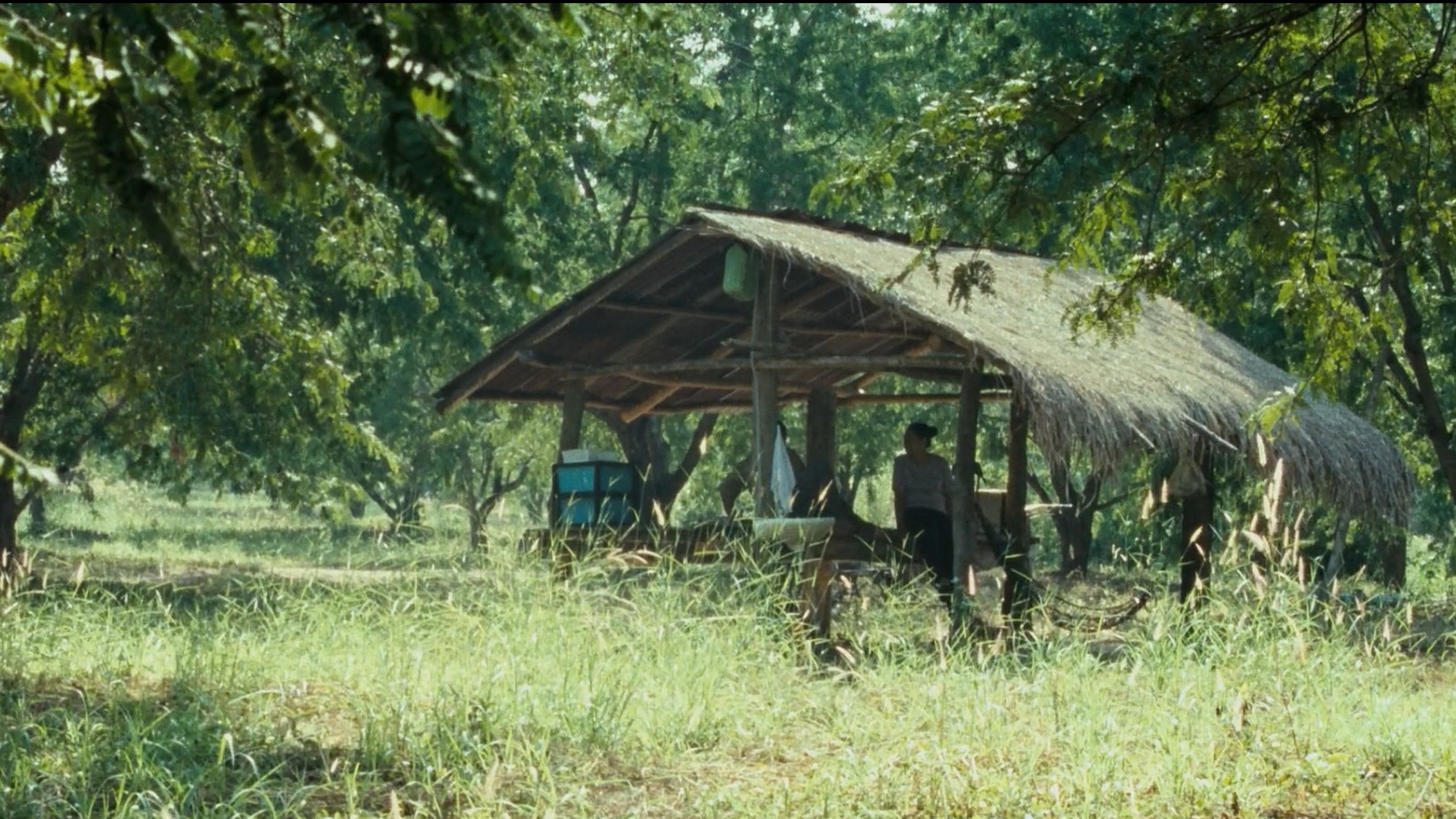 Movie scene