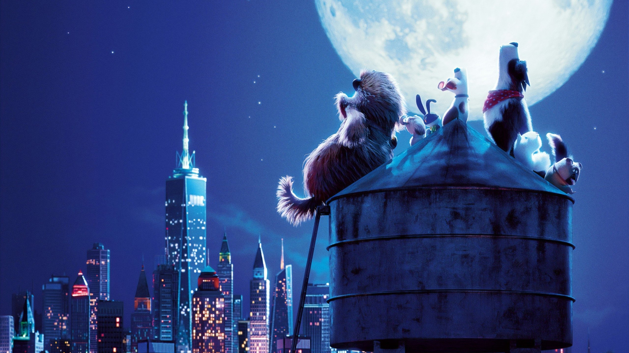 Movie scene