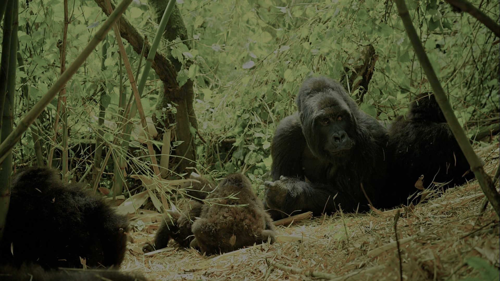 Movie scene