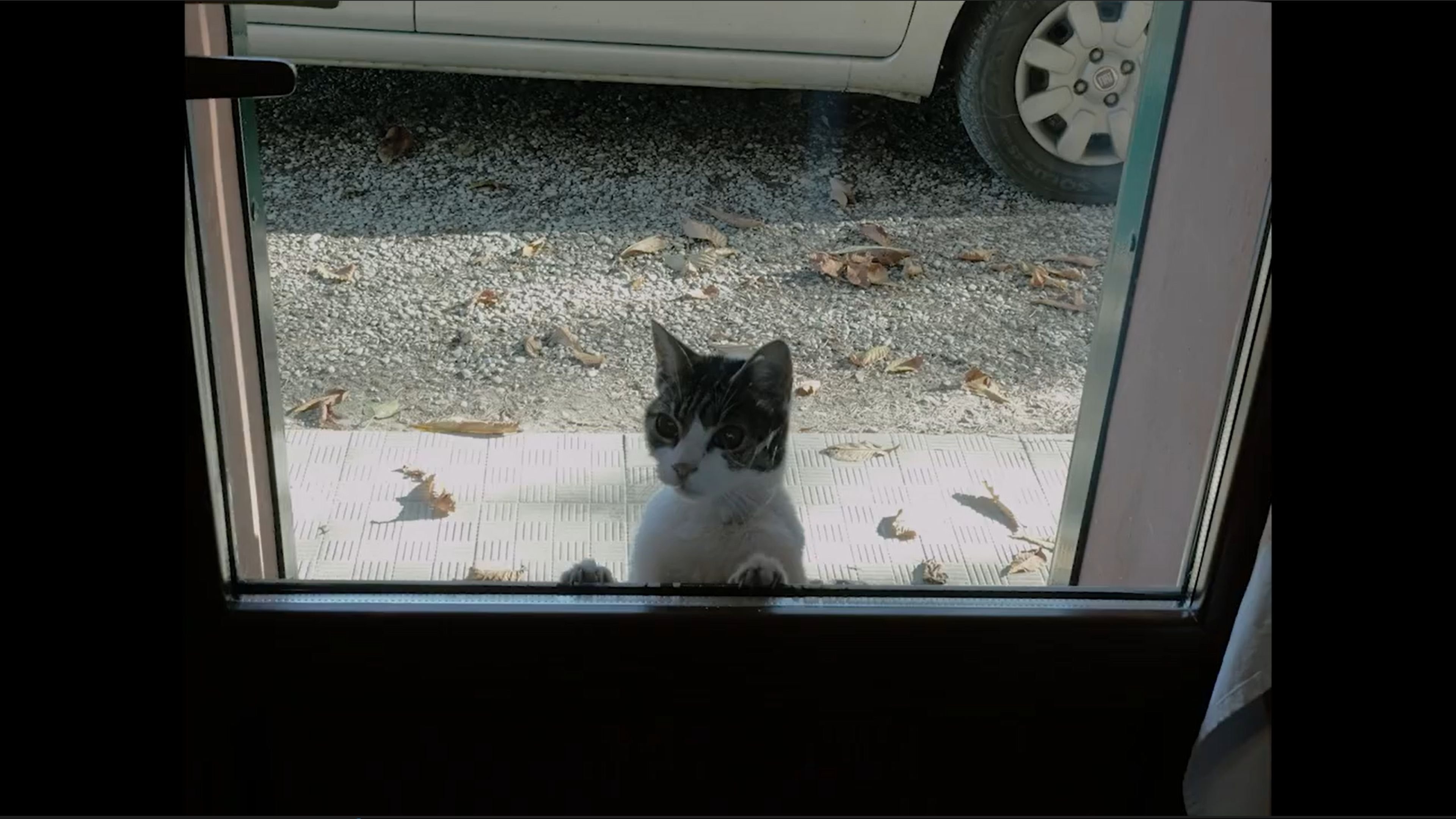 Movie scene