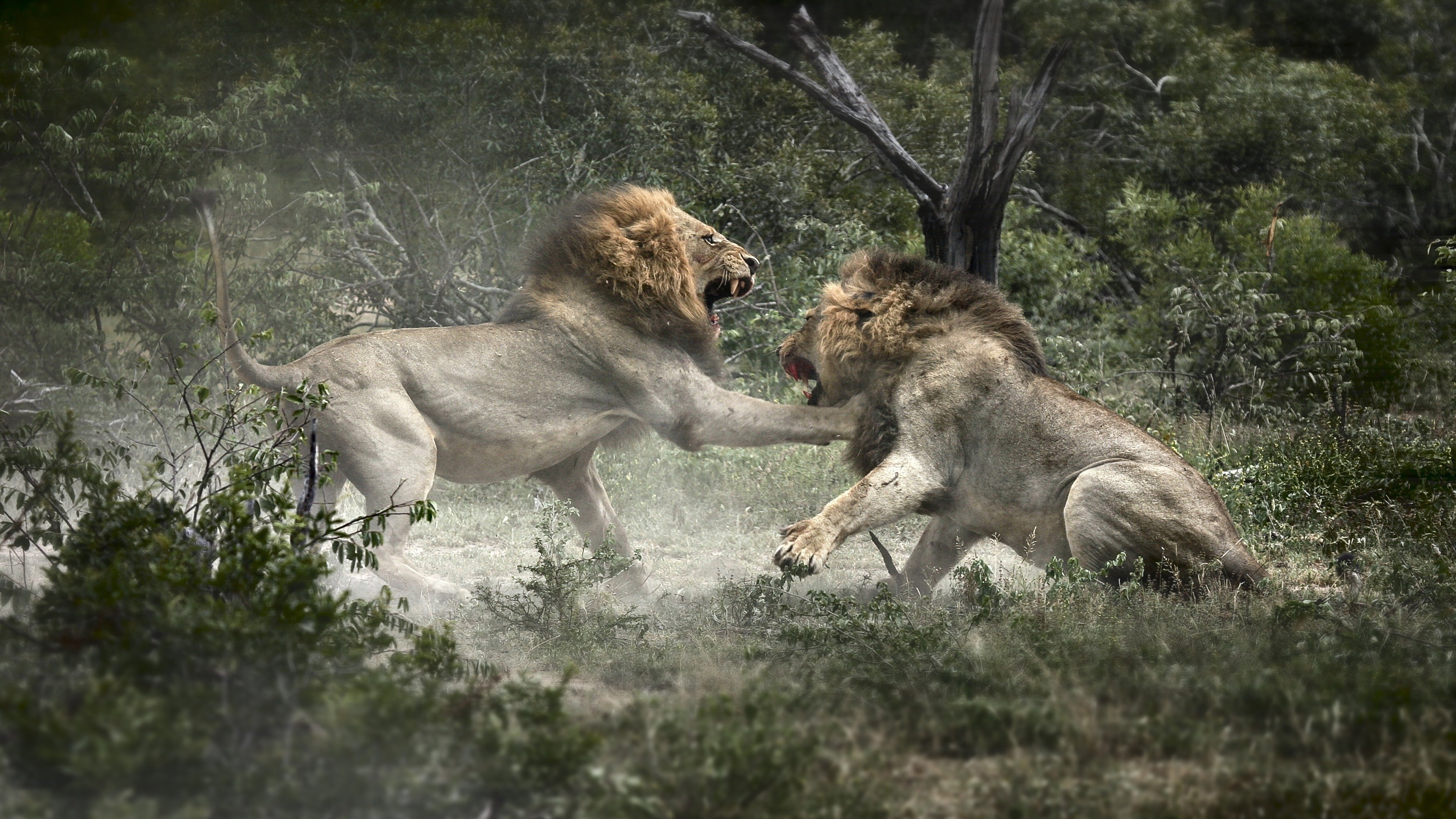 Movie scene