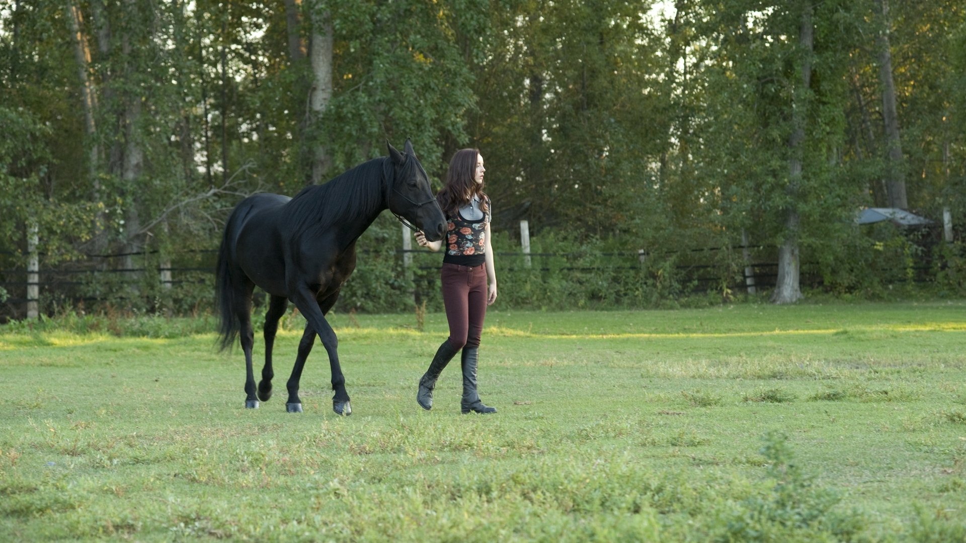 Movie scene