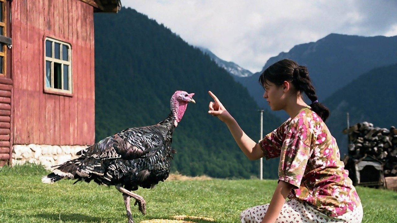 Movie scene