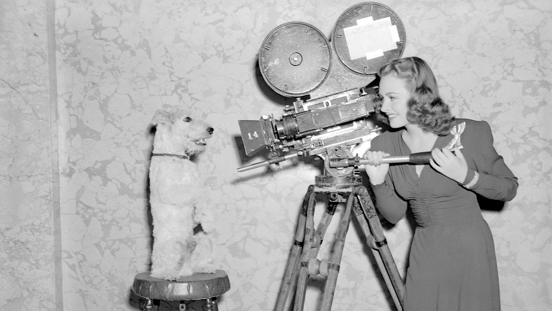 Movie scene
