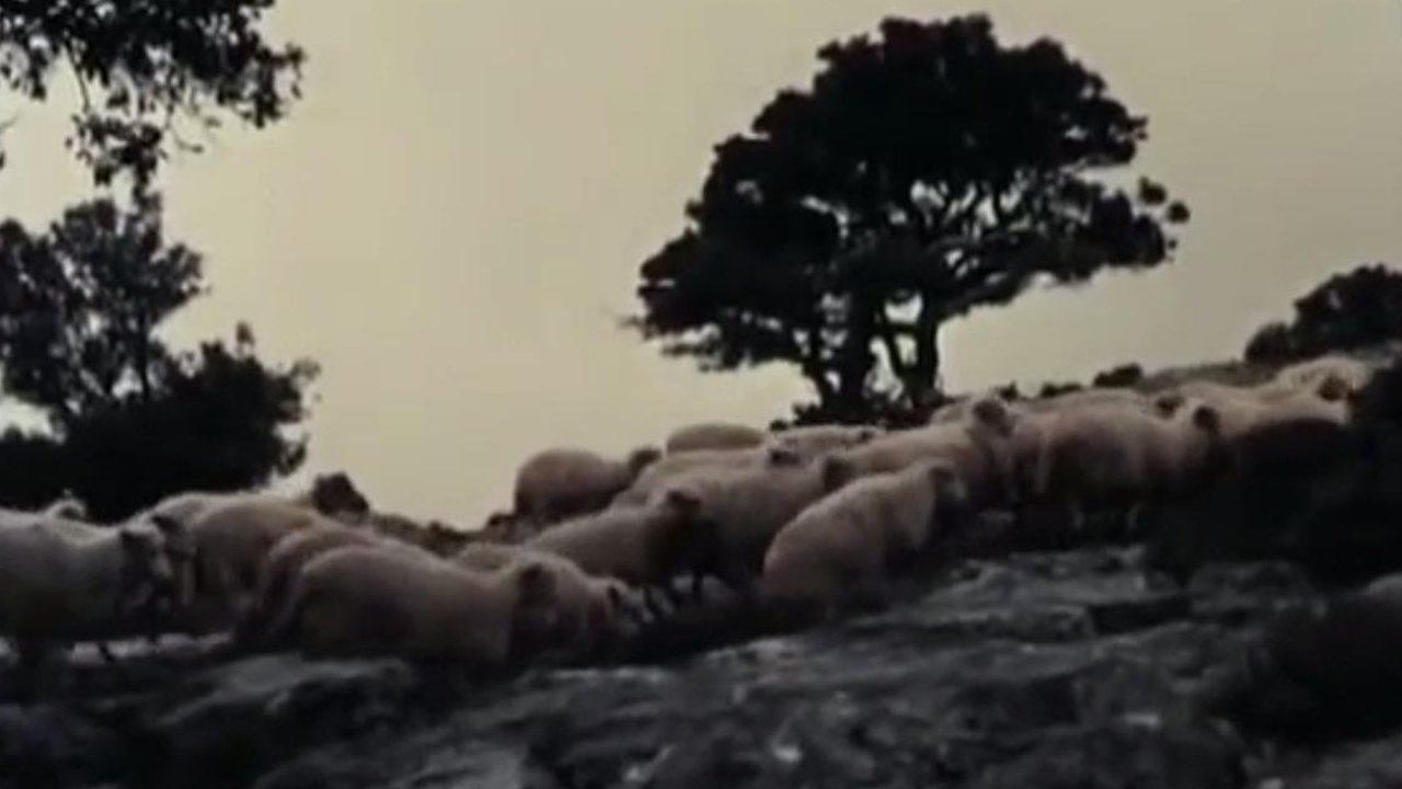 Movie scene