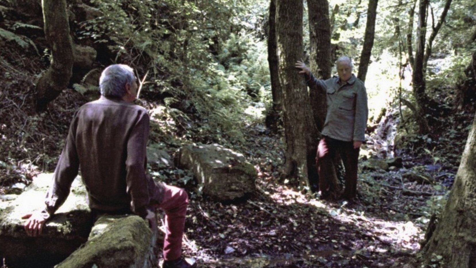 Movie scene