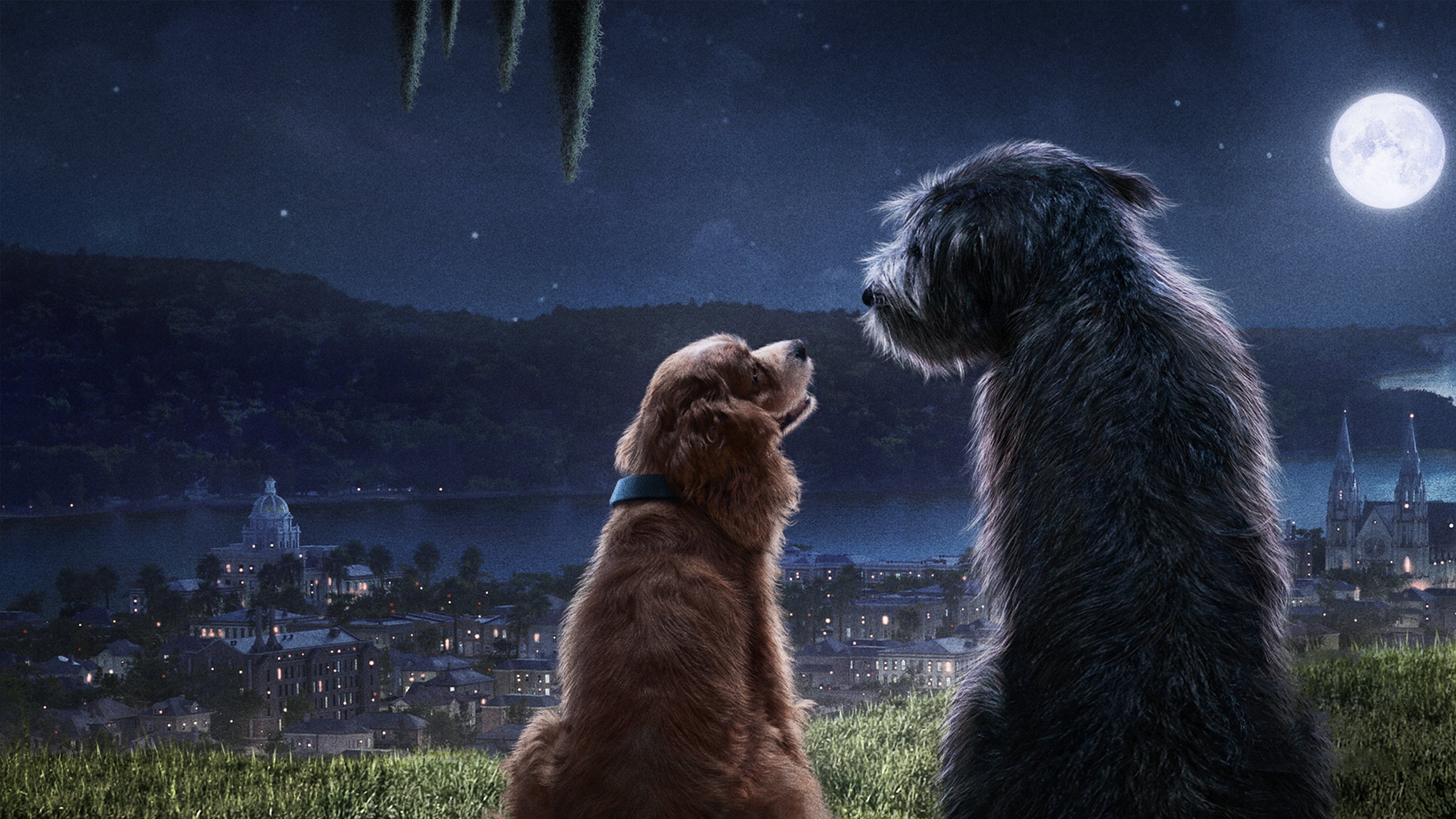 Movie scene