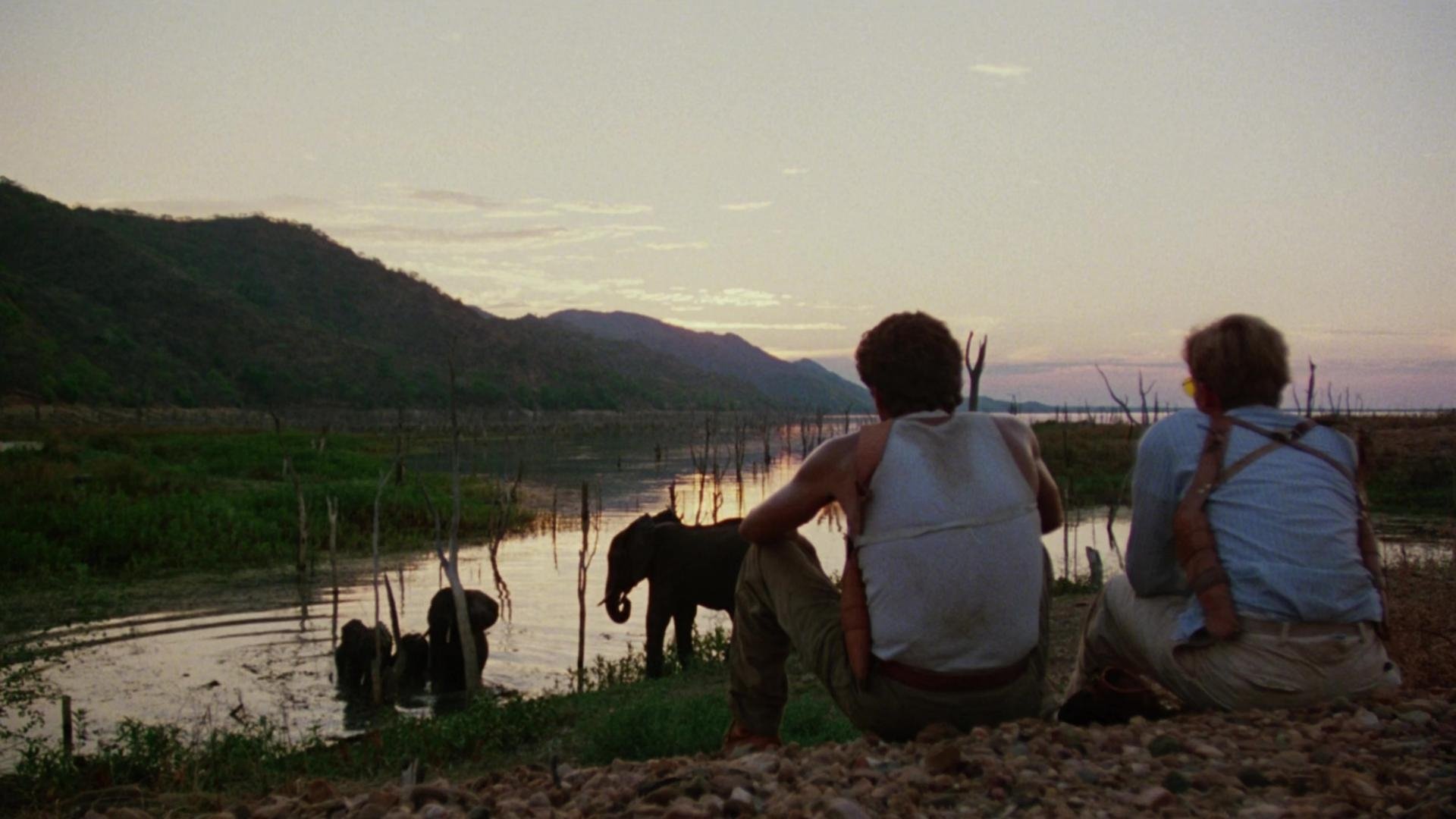Movie scene