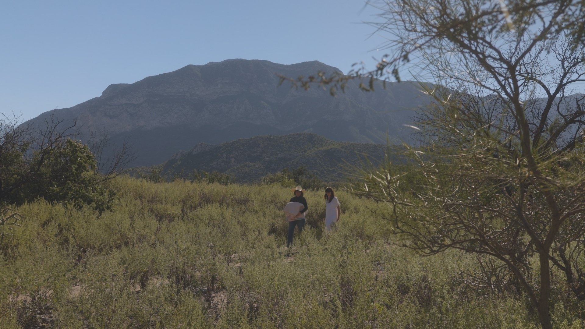 Movie scene