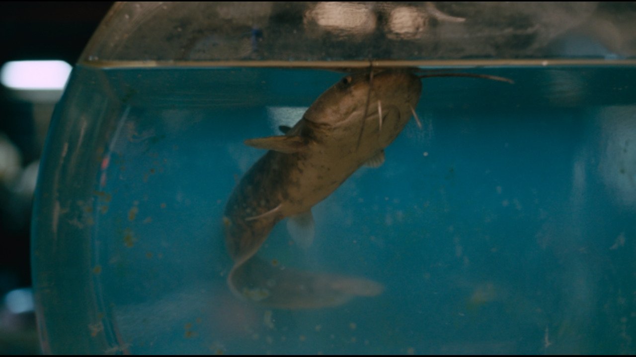 Movie scene