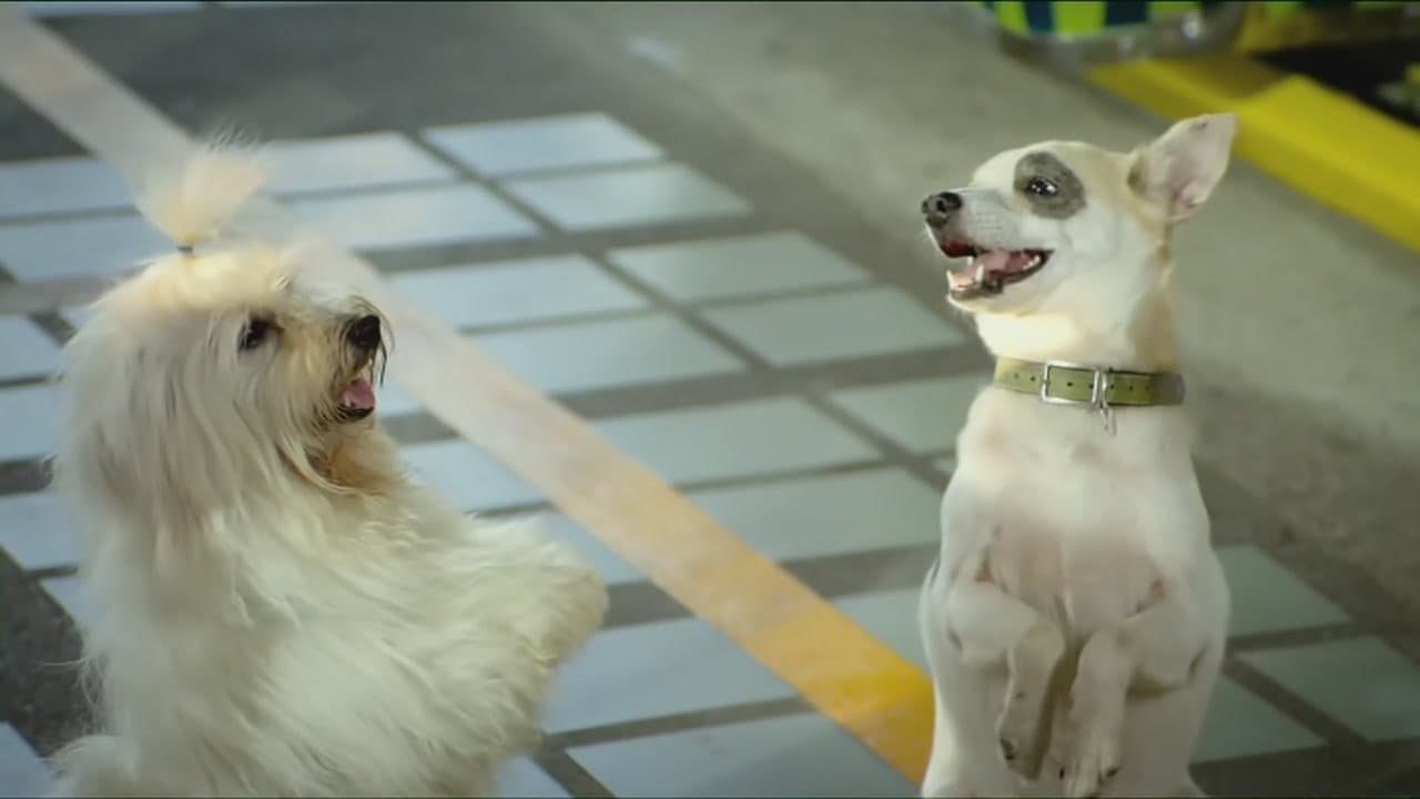 Movie scene