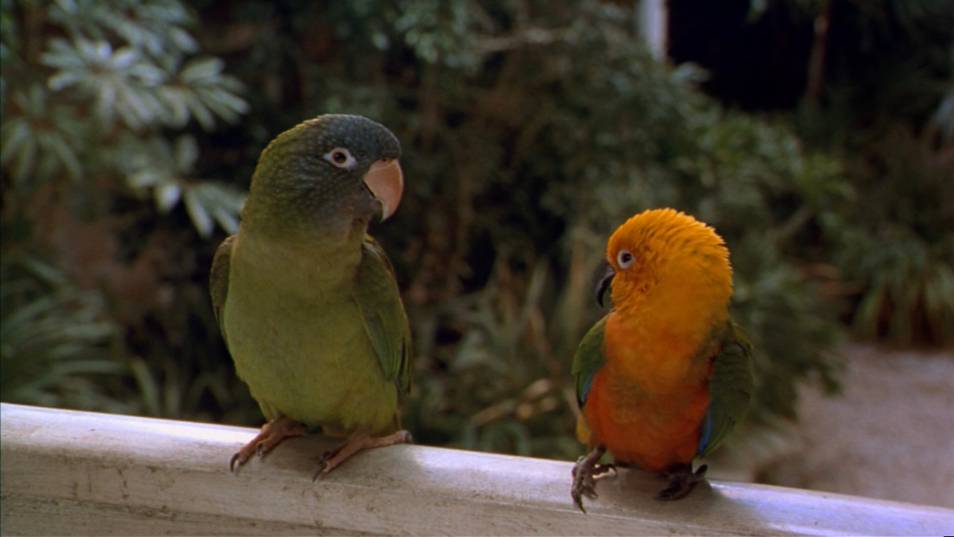 Movie scene