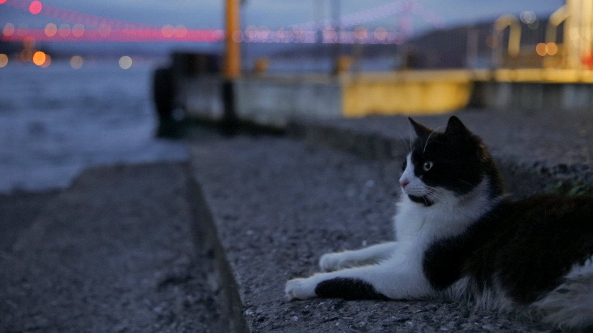 Movie scene