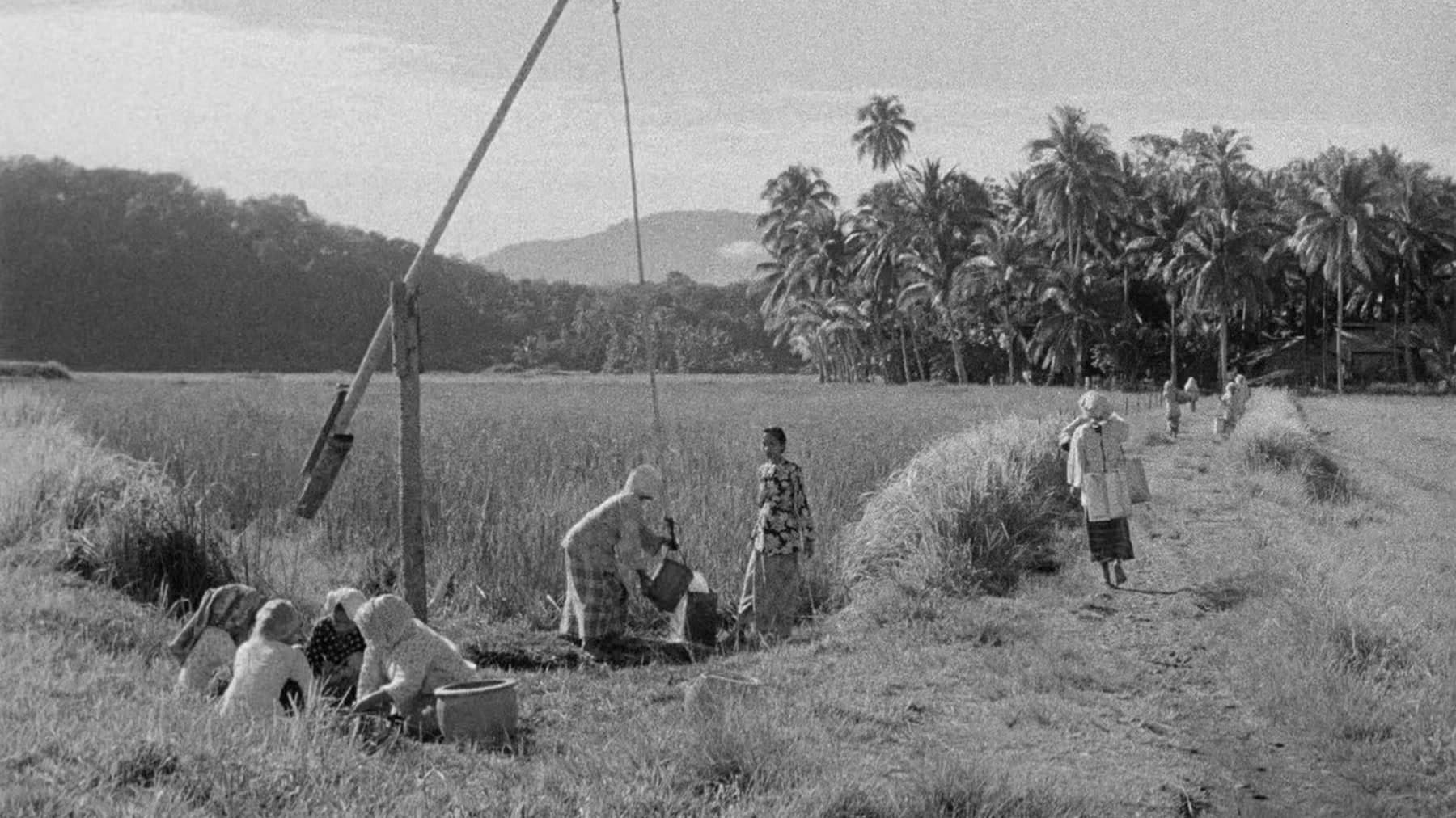 Movie scene