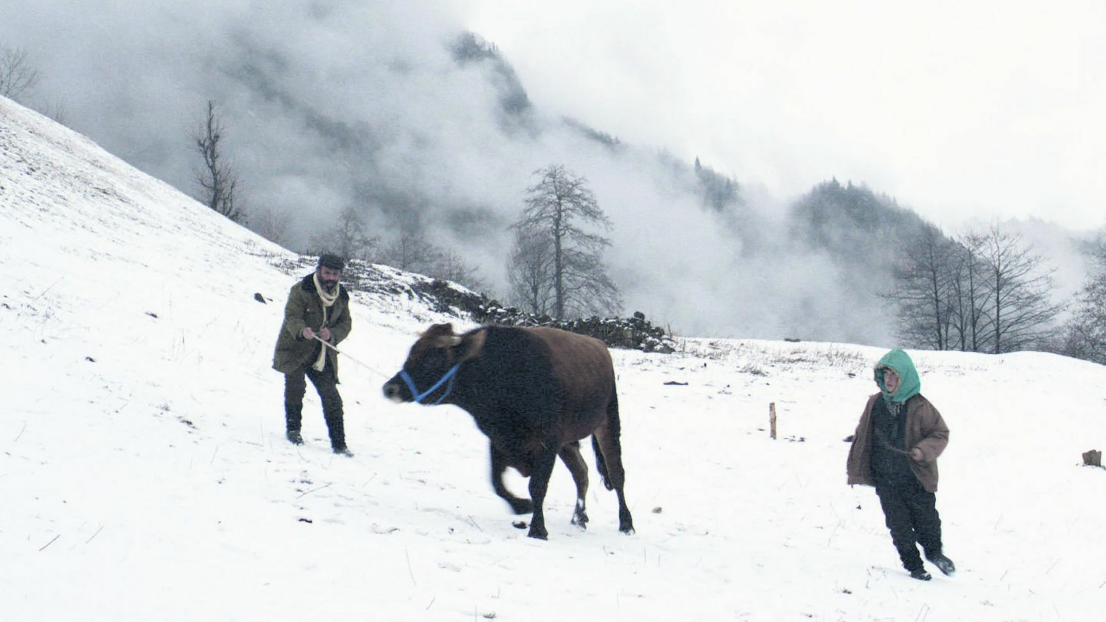 Movie scene