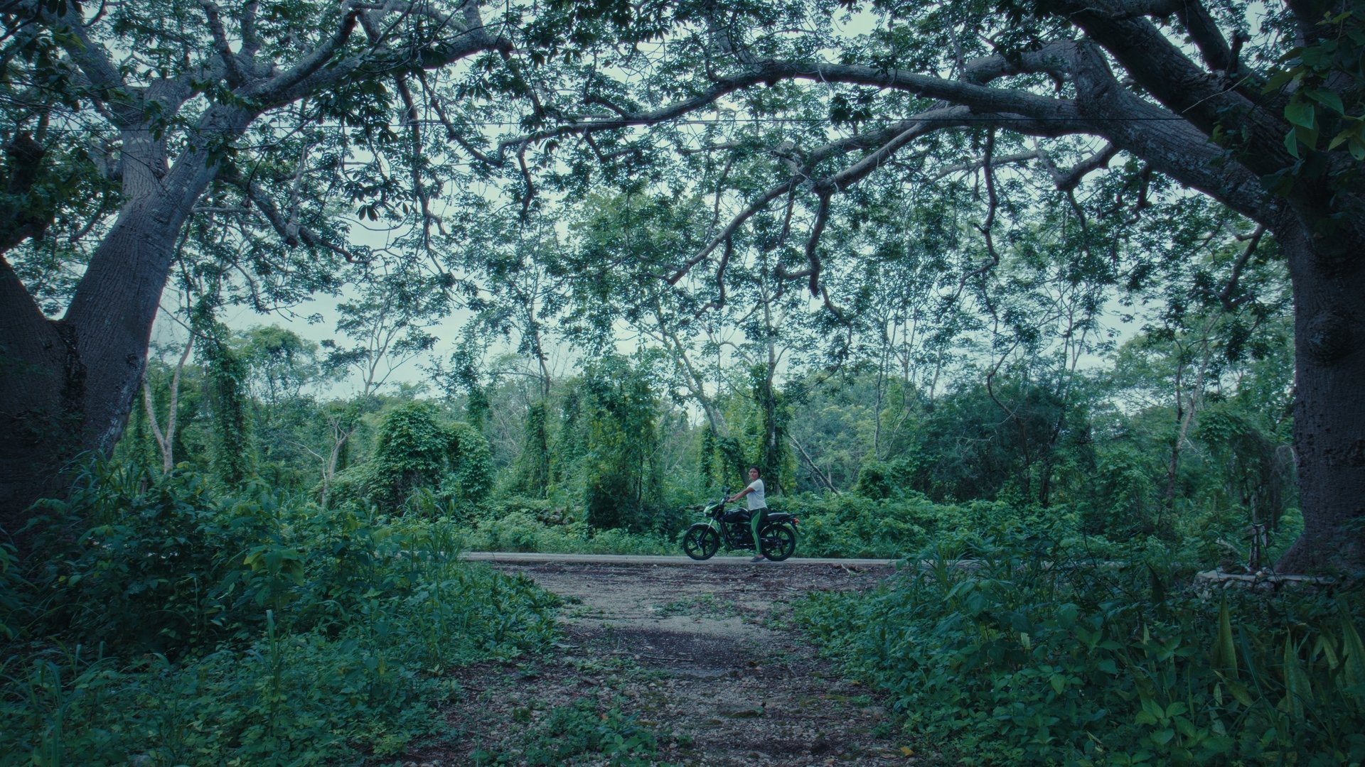 Movie scene
