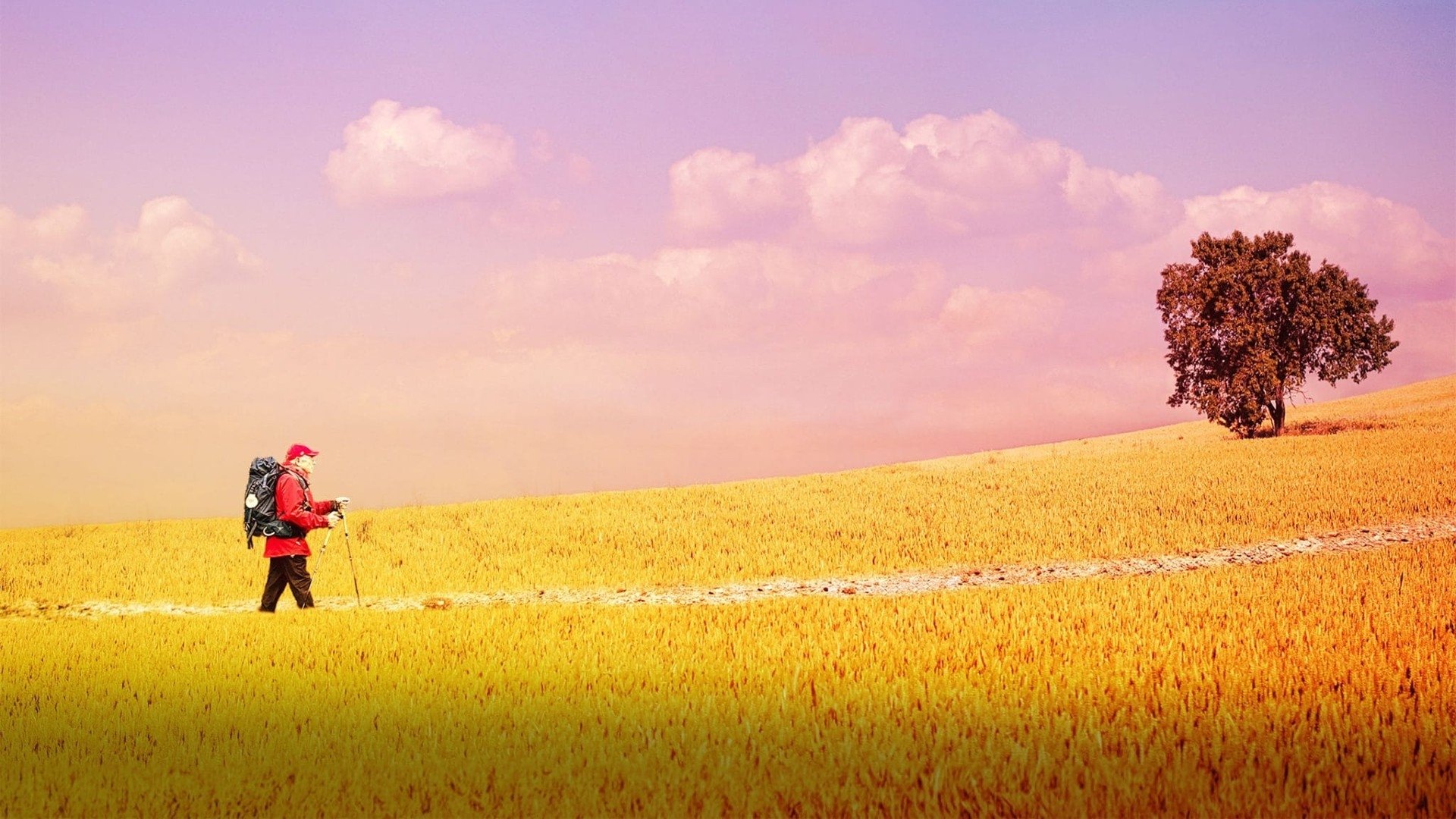 Movie scene