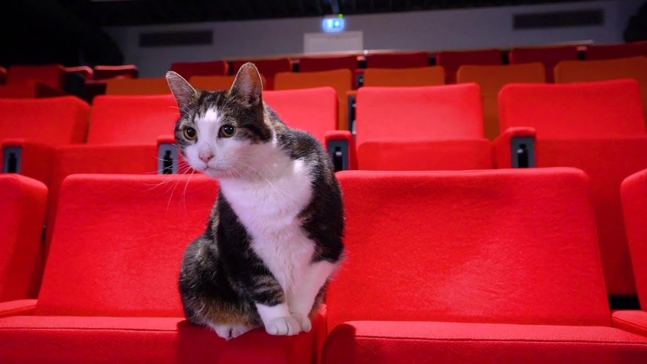 Movie scene