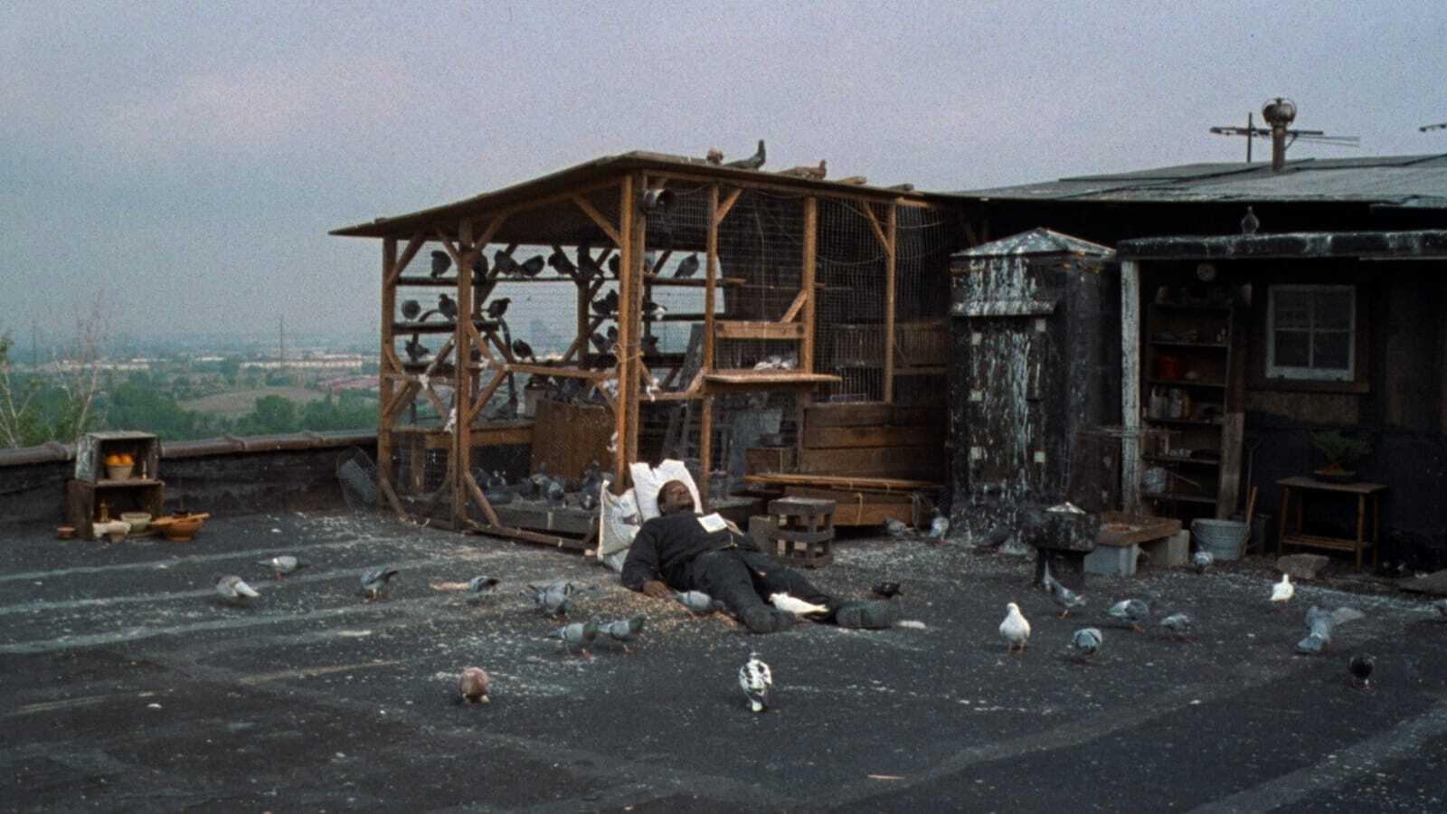 Movie scene