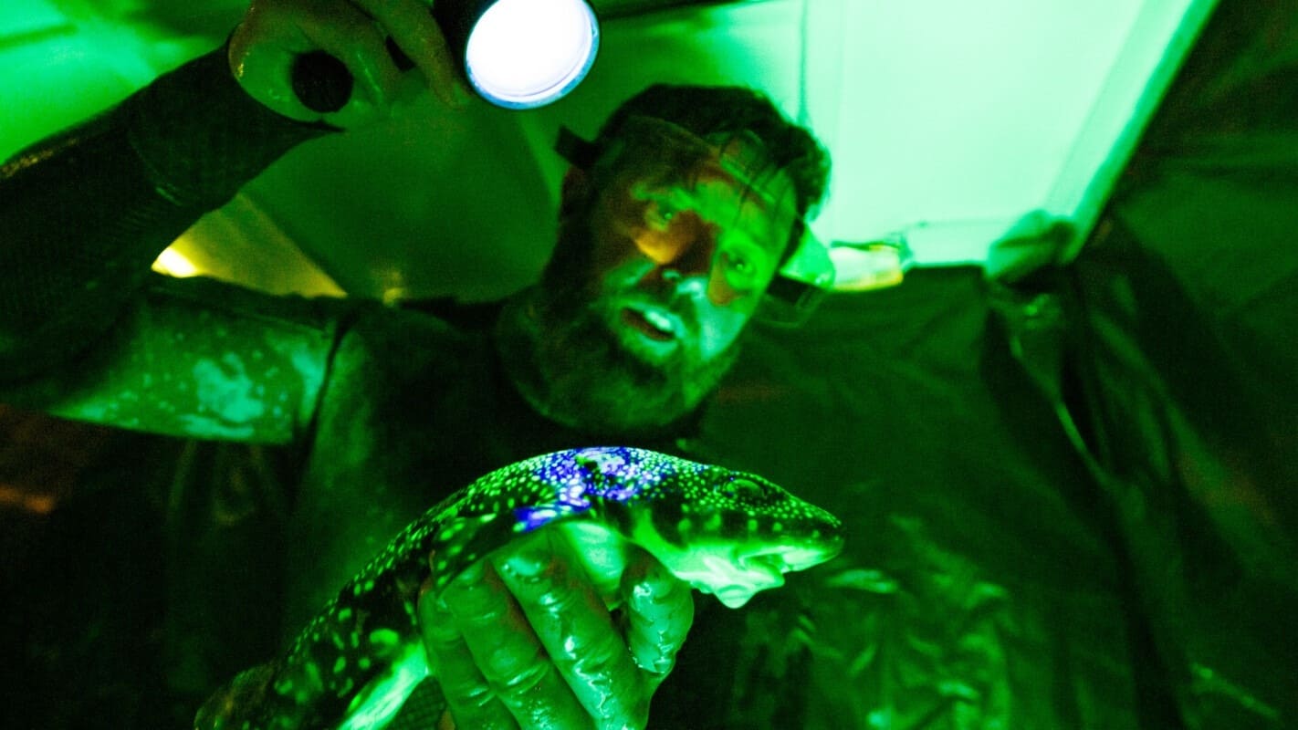 Movie scene