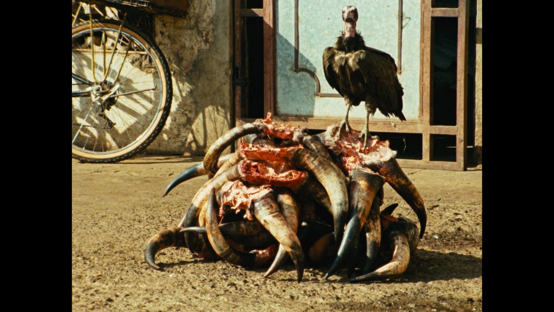 Movie scene