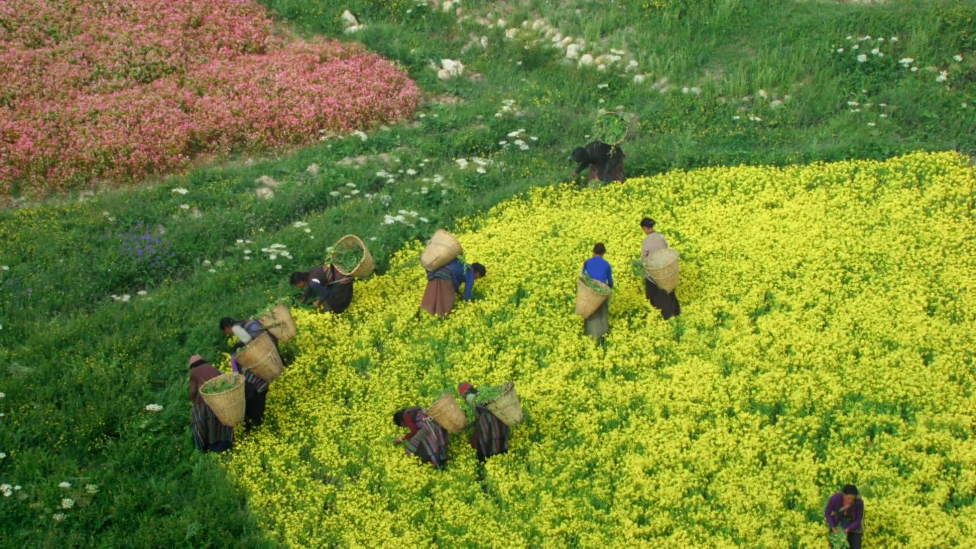 Movie scene