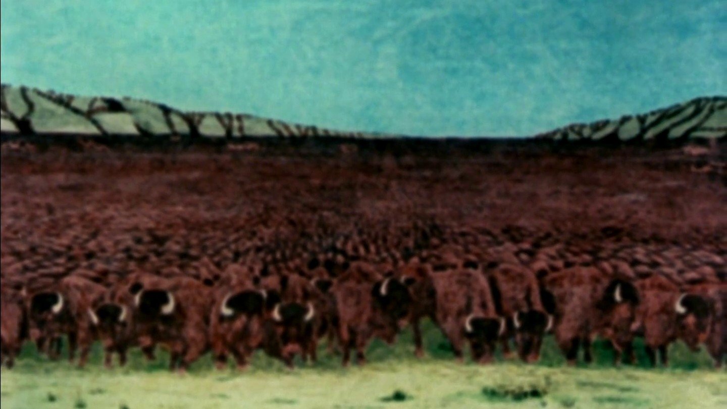 Movie scene
